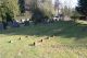 Graven: Diverse kindergraven