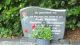 Graf: Heuvelsland, Janna Hendrika en Antvelink, Jan Willem